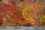 Autumn Along The Trace_24542